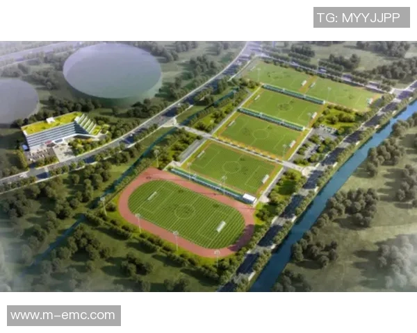 足球场地建设标准的全面解析与实施指南助力青少年足球发展